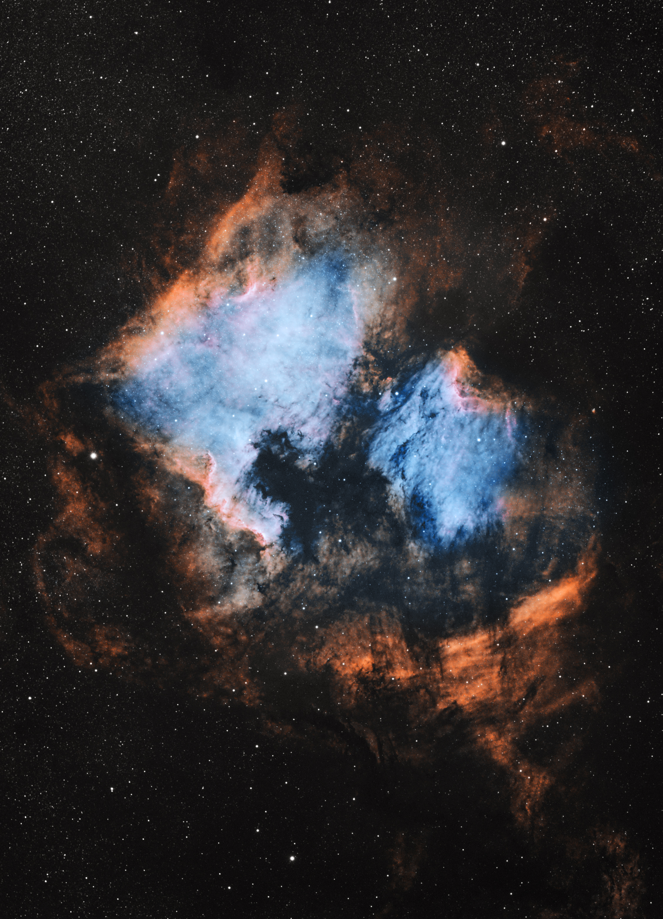 North American and Pelican Nebulae