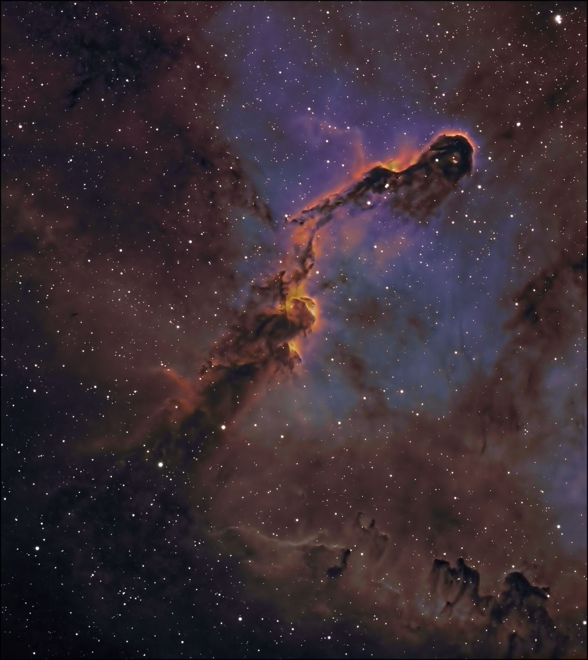 IC 1396