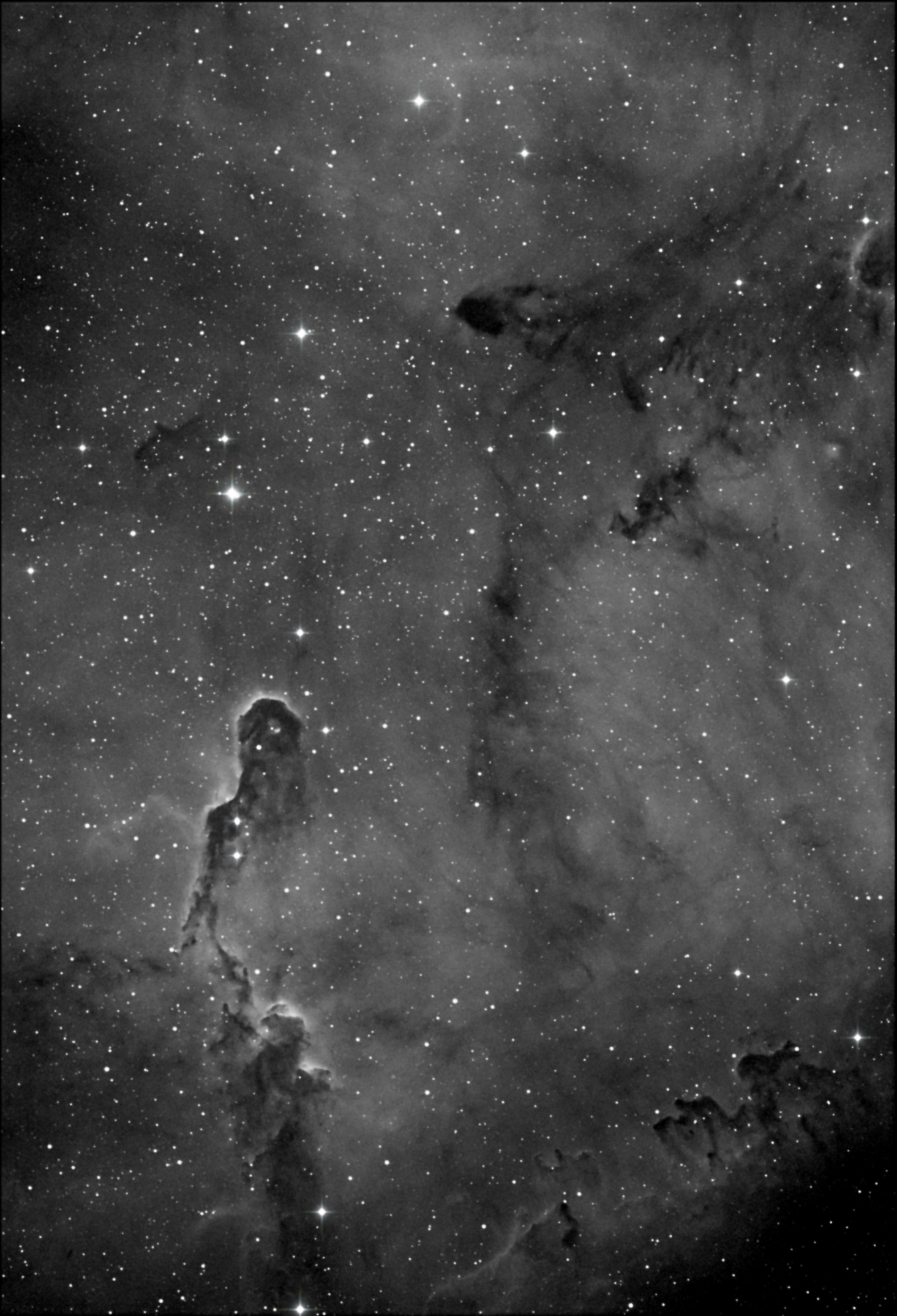 IC 1396 - Elephant's Trunk